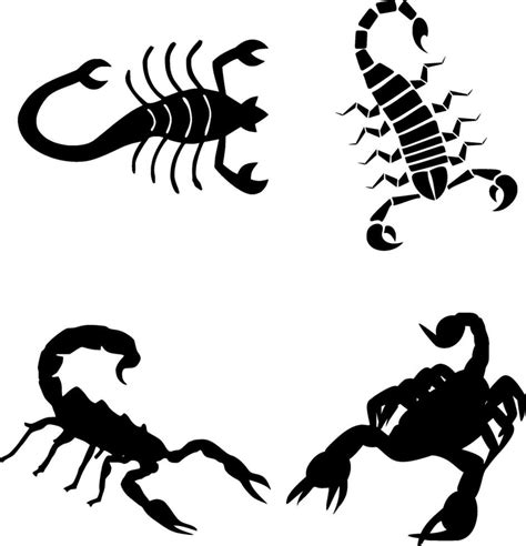 Scorpion Silhouette Vector on white background 34075598 Vector Art at Vecteezy