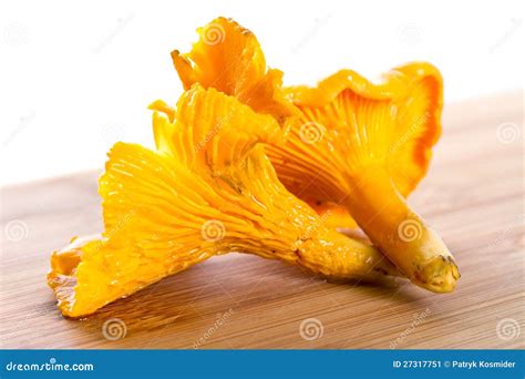 Golden Chanterelle Fungus Close Up Stock Image - Image: 27317751