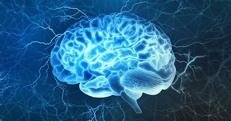 9 Neurological Disorders You Need to Know - Regional Neurological Associates