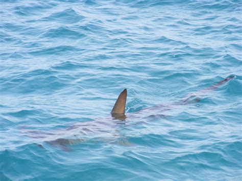 Australia’s most dangerous beaches - Travel IntelligenceTravel Intelligence