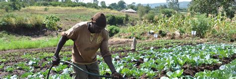 Challenging the doctrine of traditional farming - Science and Engineering