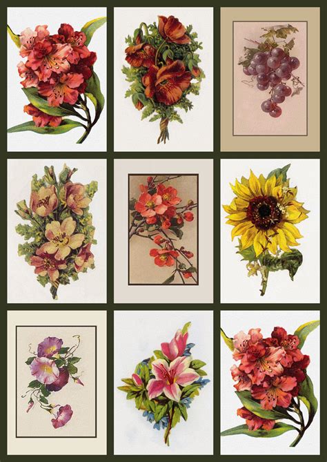 ArtbyJean - Vintage Clip Art: Digital Collage Sheet - Flower Prints