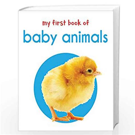 My First Book of Baby Animals: First Board Book (My First Books) by ...