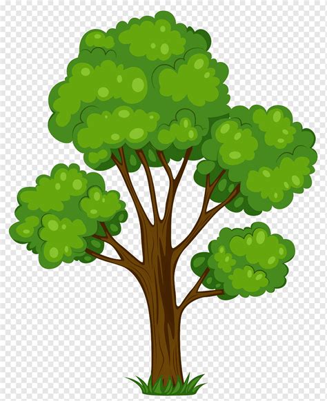 Tree Cartoon, Tree, leaf, branch, plant Stem png | PNGWing