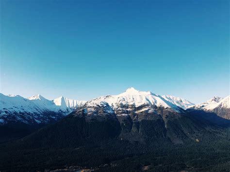 Amazing Things to do in Girdwood Alaska - Bobo and ChiChi