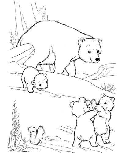 35 Free Bear Coloring Pages Printable