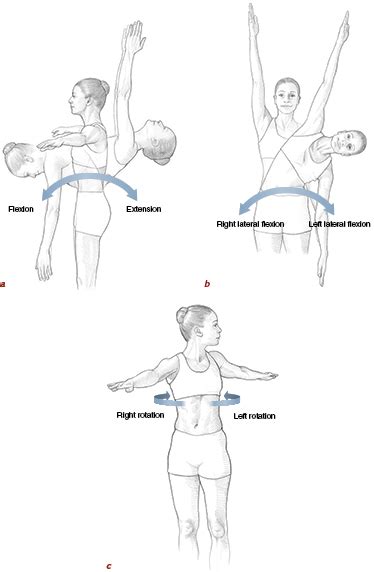 Spine, Core, and Body Alignment - Pilates Anatomy