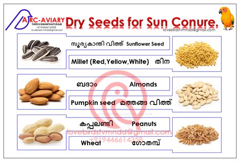 Dry seeds വിത്തുകള്‍