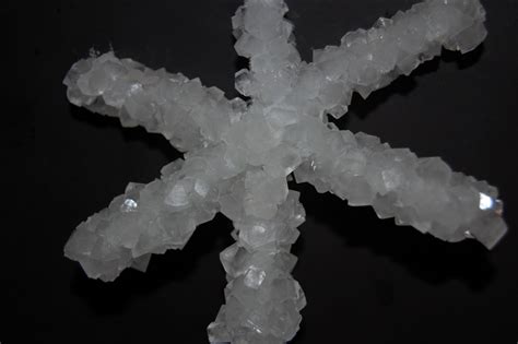 Momma Owl's Lab: Grow a Crystal Snowflake