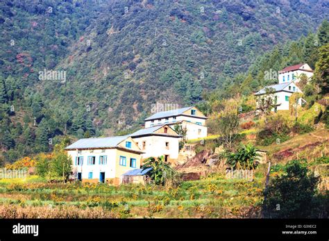 Traditional style beautiful houses of Nepali village near the forest in Chitlang,Nepal Stock ...