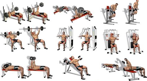 46+ Gym Workout Chest Photos PNG