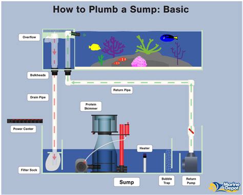 How to Plumb a Sump - Basic, Intermediate and Advanced - Marine Depot Blog