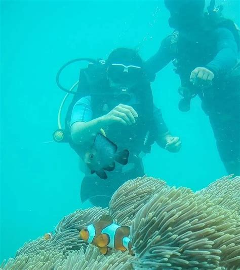 Scuba Diving in Andaman - AndamanTourPackage.IN