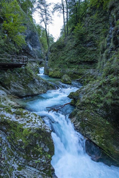 Vintgar Gorge, Slovenia. or Bled Gorge Stock Image - Image of vintgar, touristic: 132935463