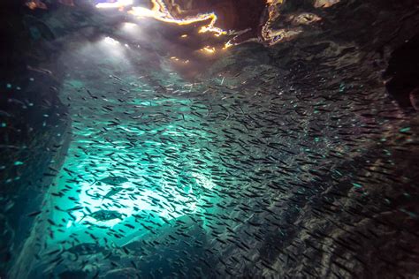 The Caves Norman Island - Best of USVI