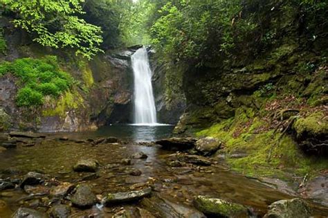 Waterfalls of the Pisgah Ranger District, Pisgah National Forest