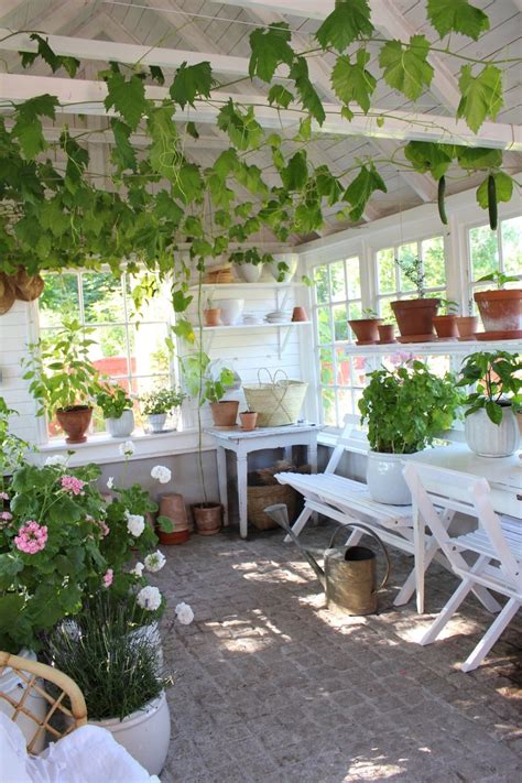 Vad händer i vårt växthus just nu tro? - Julia K - Metro Mode Garden Cottage, Garden Room, Home ...