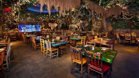 Tropical foliage hanging over tables and chairs