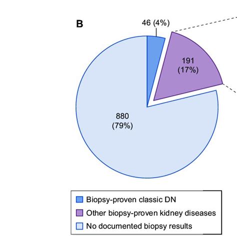 Kidney disease diagnoses based on past kidney biopsy results in (A)... | Download Scientific Diagram