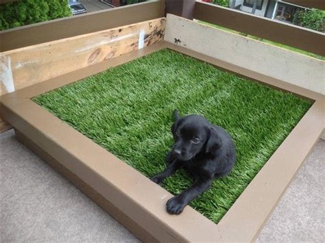 Balcony Dog Potty Ideas: Indoor Toilet Training for Dogs - Balcony Decoration & Eco-Friendly ...