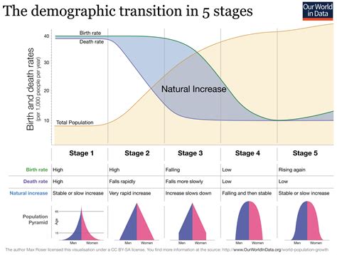 The Demographic Transition Model - Intelligent Economist