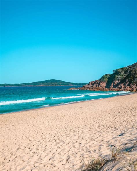 Ultimate Guide To The Tomaree Summit Walk - Tomaree Mountain, Shoal Bay