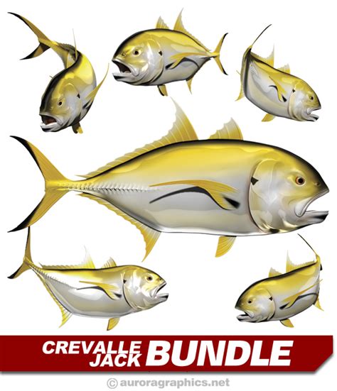 Crevalle Jack Bundle - Aurora Graphics