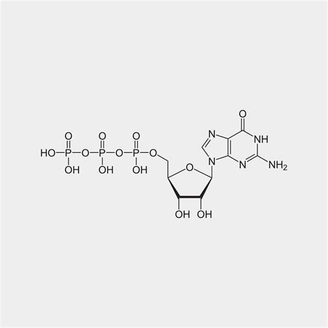 Guanosine-5'-triphosphate (GTP) is a purine nucleoside triphosphate. It can act as a substrate ...