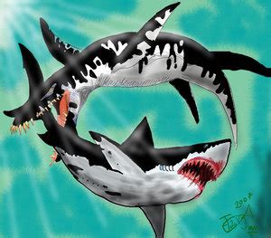 Animal battle: Megalodon vs 'Predator X' - Battles - Comic Vine