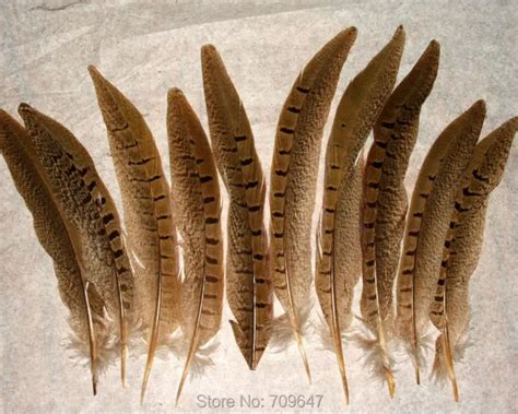 200PCS/LOT!6 8"(15 20cm)Ringneck Pheasant Tail Feathers Wholesale Loose Ringneck Pheasant ...