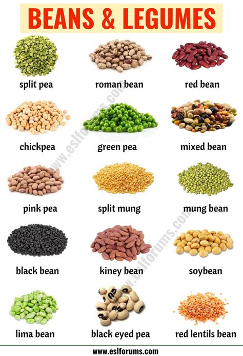 Types of Beans: 15 Different Types of Beans & Legumes with the Picture ...