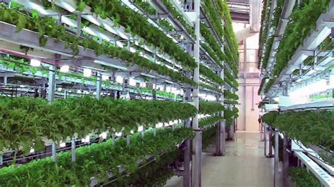 Aeroponics - What is Aeroponics? - Grow Higher