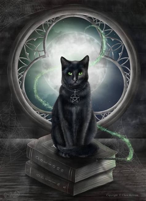 Witch cat | Black cat art, Cat art, Cats