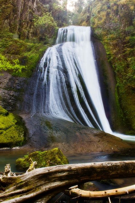 Wolf Creek Falls, Oregon | Oregon waterfalls, Beautiful waterfalls ...