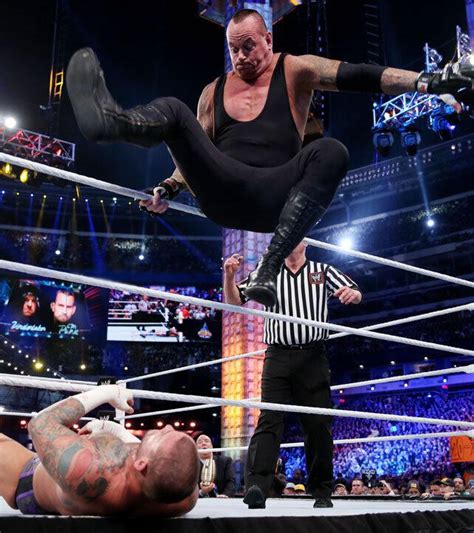 (Almost) 5-Star Match Reviews: The Undertaker vs. CM Punk ...