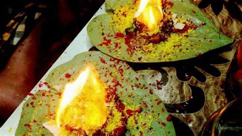 Why are people in India queuing to eat fire? | SBS Food