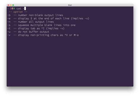 Heroku CLI: Completing Autocomplete - DEV Community