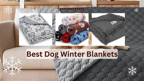 The Top 10 Best Dog Winter Blankets to Keep Your Furry Friend Warm This ...