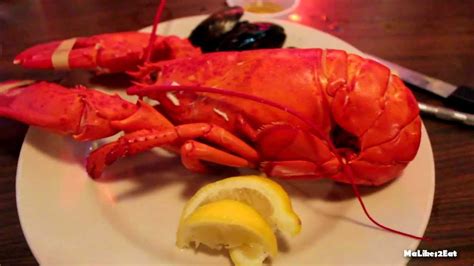 HD - Boston Lobster Feast - All You Can Eat Lobster - International ...