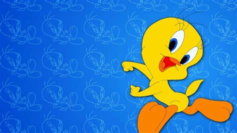 Wallpaper : 2560x1440 px, looney, tunes, Tweety 2560x1440 ...