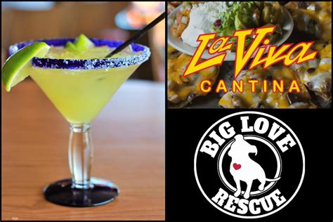 La Viva Cantina in Cypress: Mexican Food and Margaritas with a Purpose