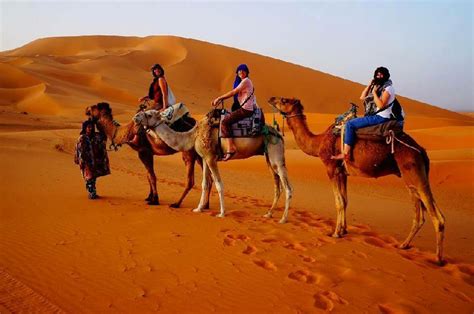 Safari Desert | Desert camp in Oman | A TRUE OMANI Desert Camp