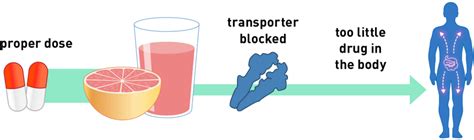 Grapefruit Juice and Some Drugs Don't Mix | FDA