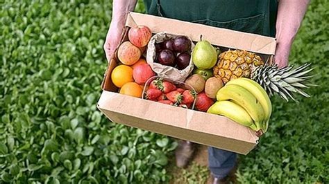 Why Consumers are Buying Fresh Cut Fruit for Delivery in Singapore - A DIY Projects