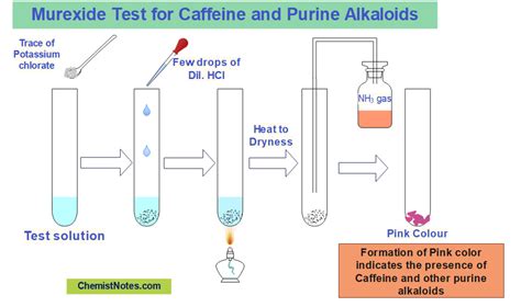 Alkaloids-Introduction, 6 chemical tests, classification, health ...