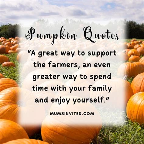 97 Pumpkin Quotes And Sayings To Cozy Up With This Fall - Mums Invited