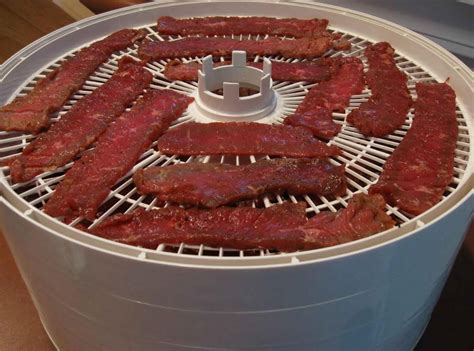 Dehydrator Easy Pressed Beef Jerky | Just A Pinch Recipes