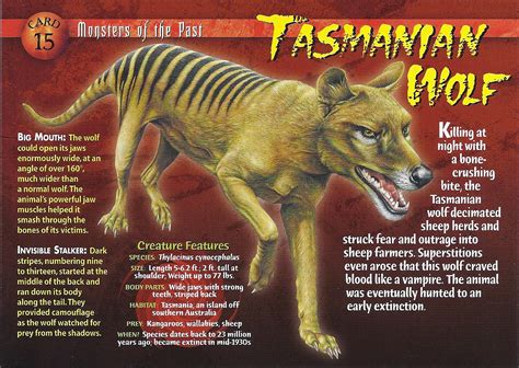 Tasmanian Wolf | Wierd N'wild Creatures Wiki | FANDOM powered by Wikia