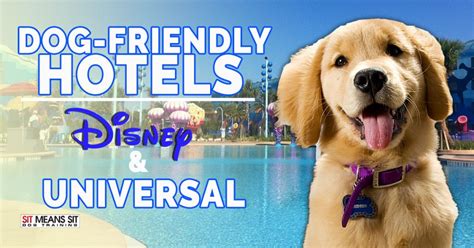 Orlando Dog-Friendly Hotels Near Disney & Universal | Sit Means Sit Orlando