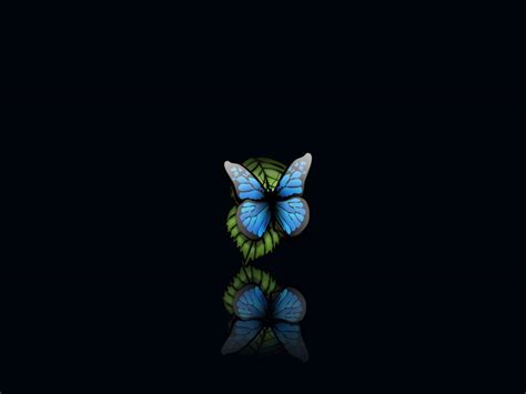 Dark Butterfly Wallpapers - Wallpaper Cave